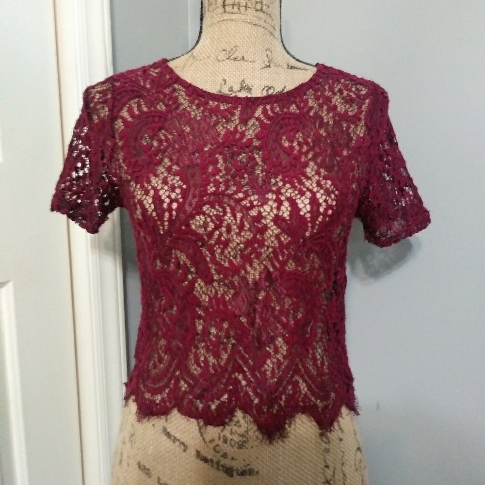 ambiance sheer crop top